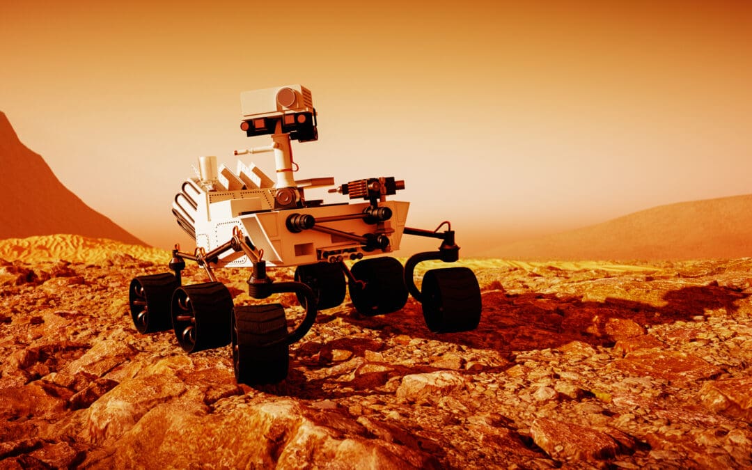 Seeking Life on Mars, Shunning Life Here?