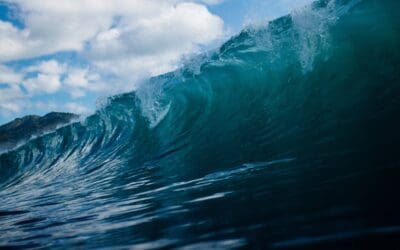 Riding the Waves of Cultural Change