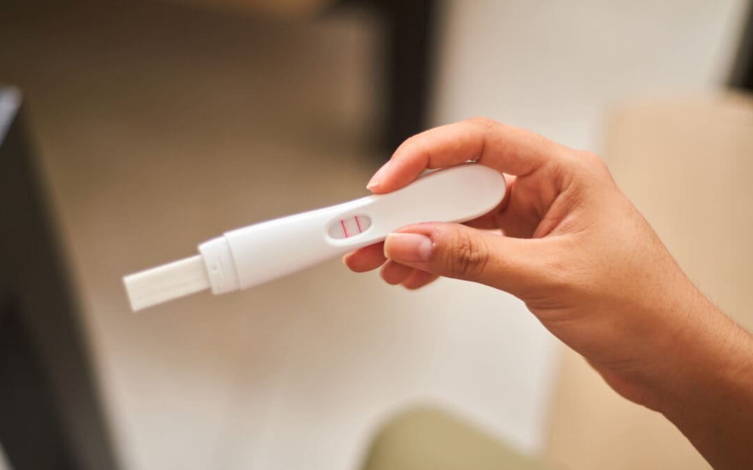 life begins at conception