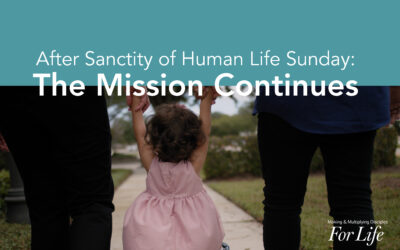 After Sanctity Sunday: The Mission Continues