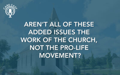 Aren’t All of these Added Issues the Work of the Church, Not the Pro-Life Movement?